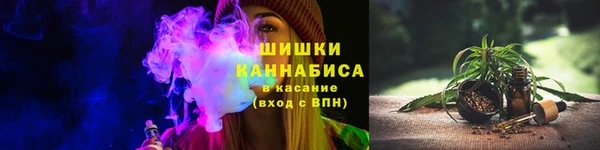 PSILOCYBIN Горно-Алтайск