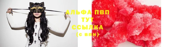 PSILOCYBIN Горно-Алтайск