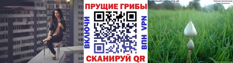 Псилоцибиновые грибы Magic Shrooms  Купить  Козельск 